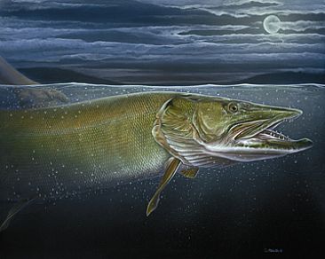 Moonlight Release - Muskellunge Fish by Curtis Atwater